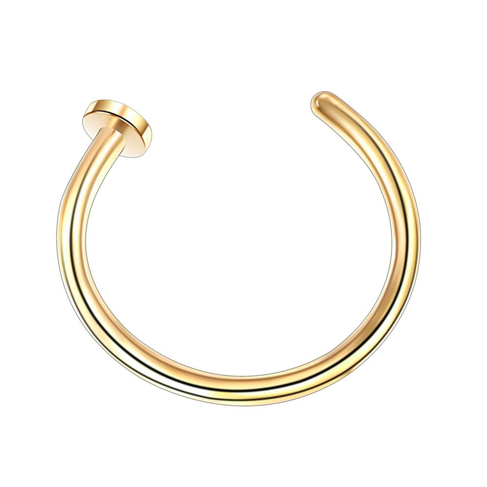 1PCS Fake Piercing Nose Hoop S - مراجعة Body Jewelry Septum وسعره