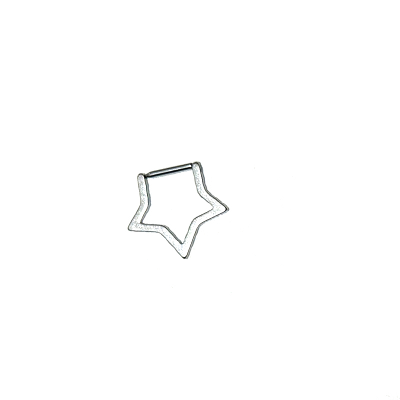 Y2K Jewelry Stainless Steel St - مراجعة Body Jewelry Septum وسعره