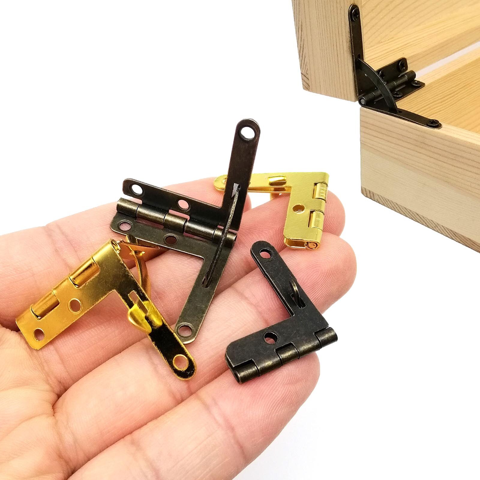 12pc Support Spring Hinge with - مراجعة Body Jewelry Display Case وسعره