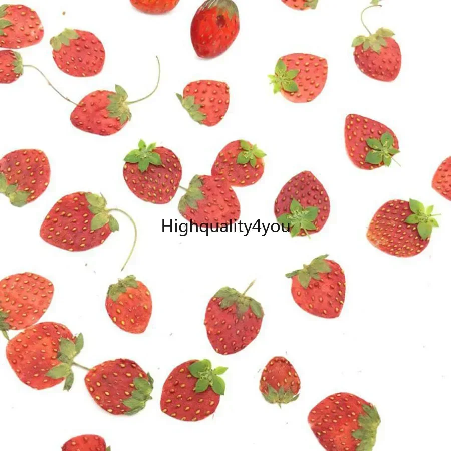 10pcs Dried Pressed Mini Fruit - مراجعة Body Jewelry Display Case وسعره