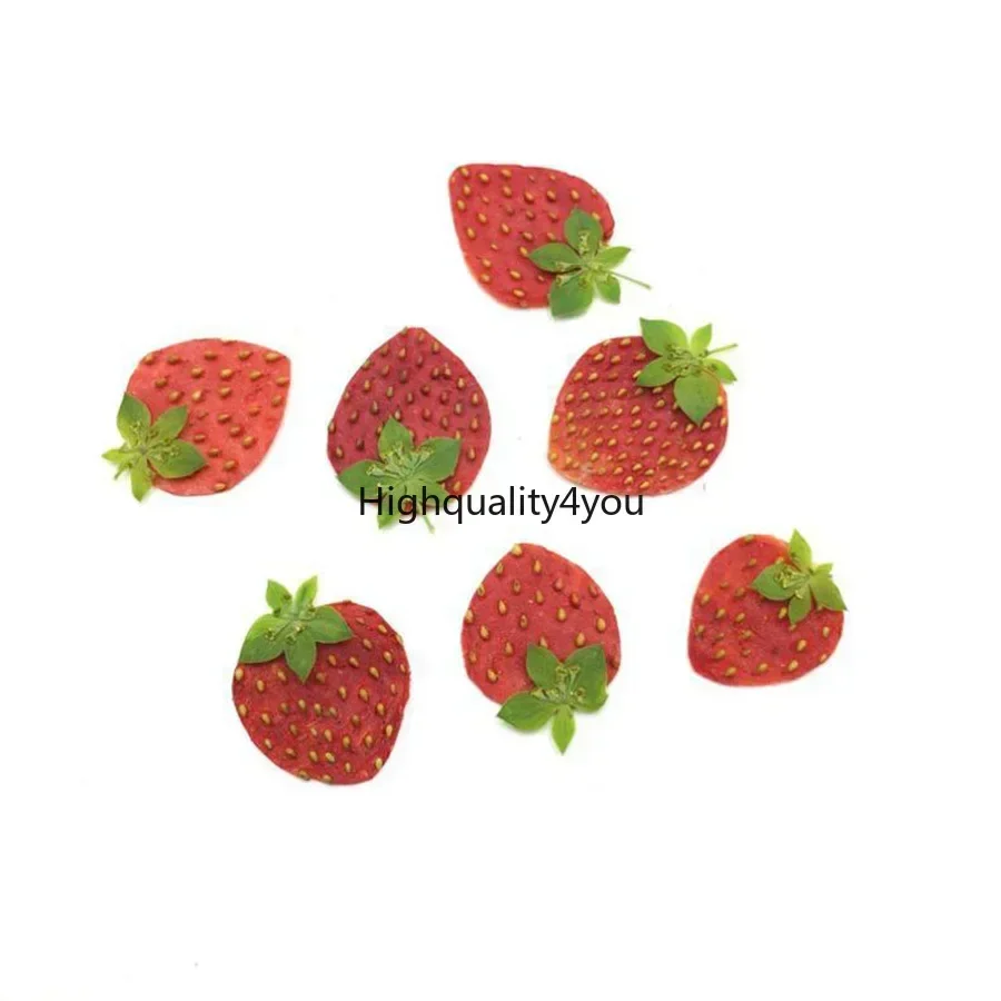 10pcs Dried Pressed Mini Fruit - مراجعة Body Jewelry Display Case وسعره